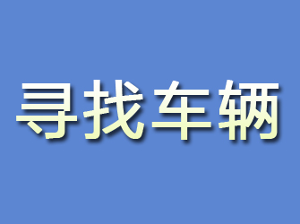 安国寻找车辆